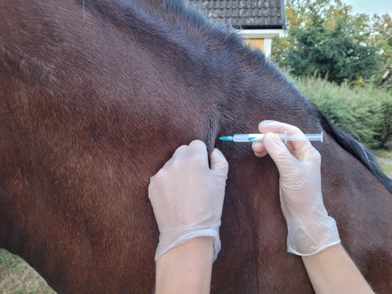 vaccination