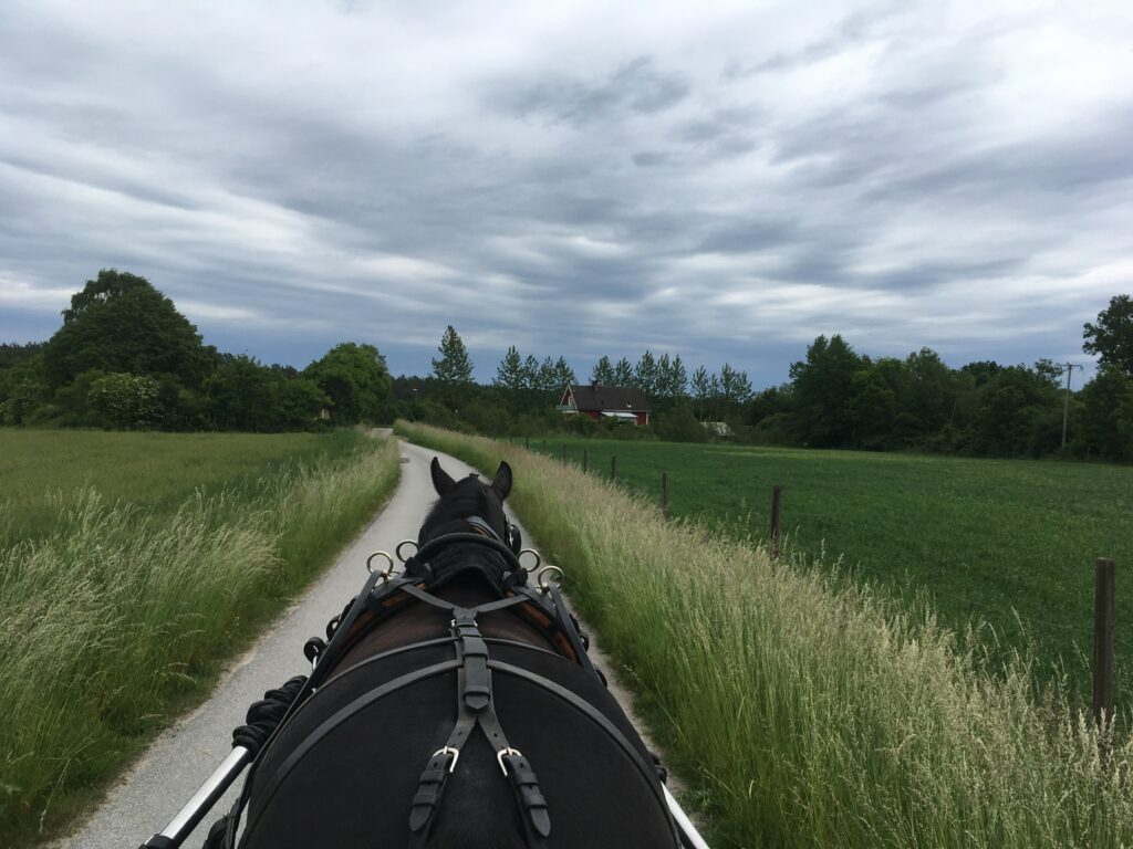 körning